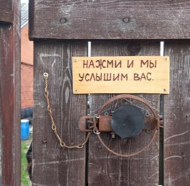 https://i.postimg.cc/j25RNHcy/i-1.jpg