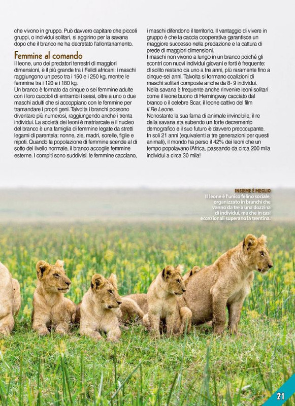 Foc Wil - Dic 2023 (4)