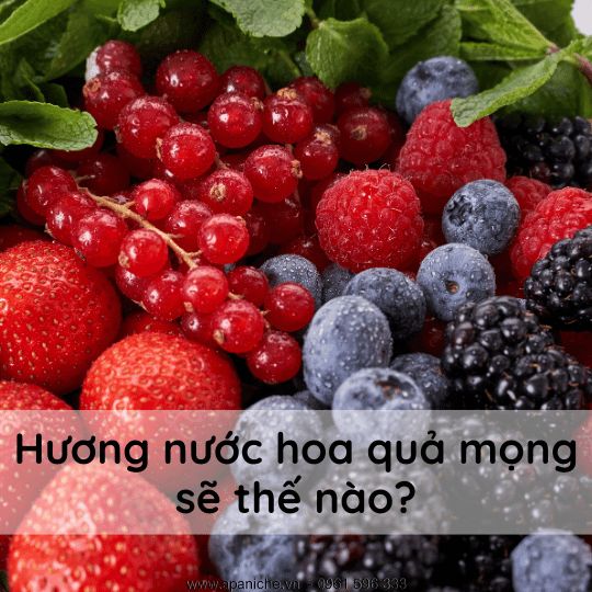 nuoc-hoa-qua-mong.png
