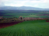 Volúvilis (Marruecos)