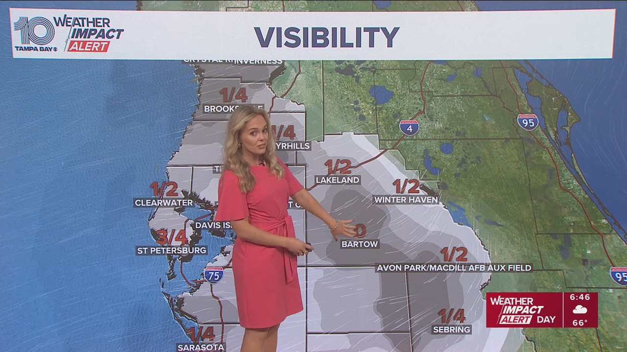 10 Tampa Bay News This Morning at 600 a m 20251124 11001200 ts snapshot 47 19 433