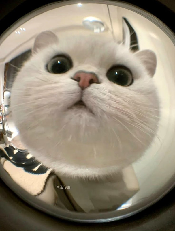 MARS88 SITUS SLOT GACOR TERPERCAYA