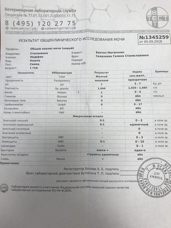 IMG 0073 1 — Postimages