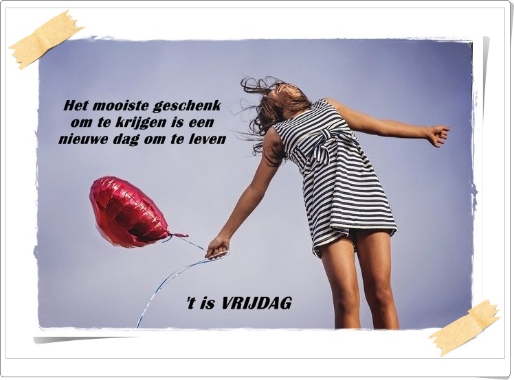 welkom opblog Bunic Jos