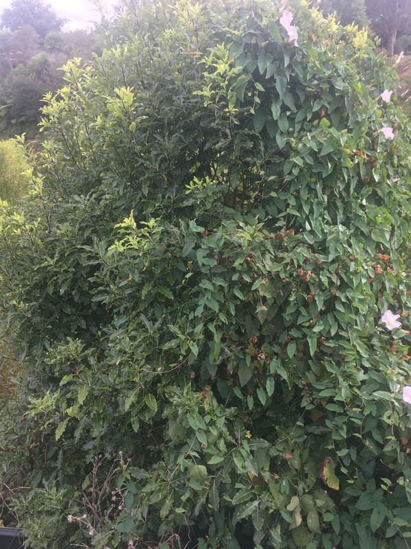 1A3E1E22-B6CD-4487-A53A-50F293BA8F17