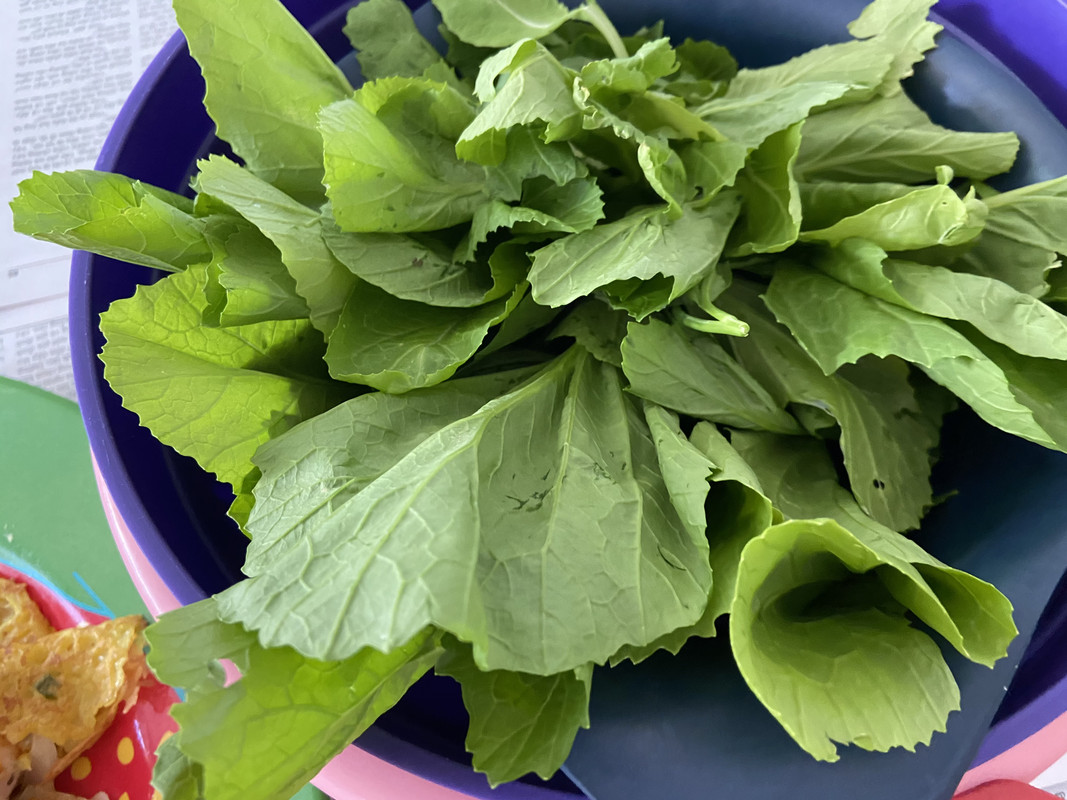 B64E7A27-B583-43E3-A449-AC1BAA4CEA5E