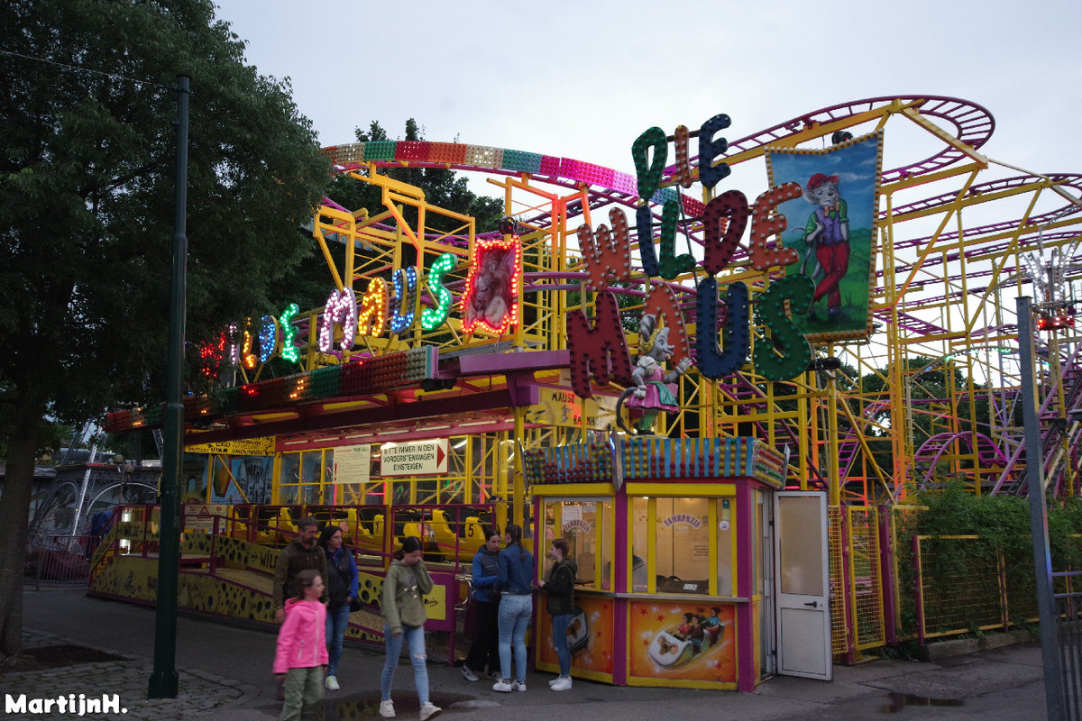 Wilde Maus - Dallinger (5)