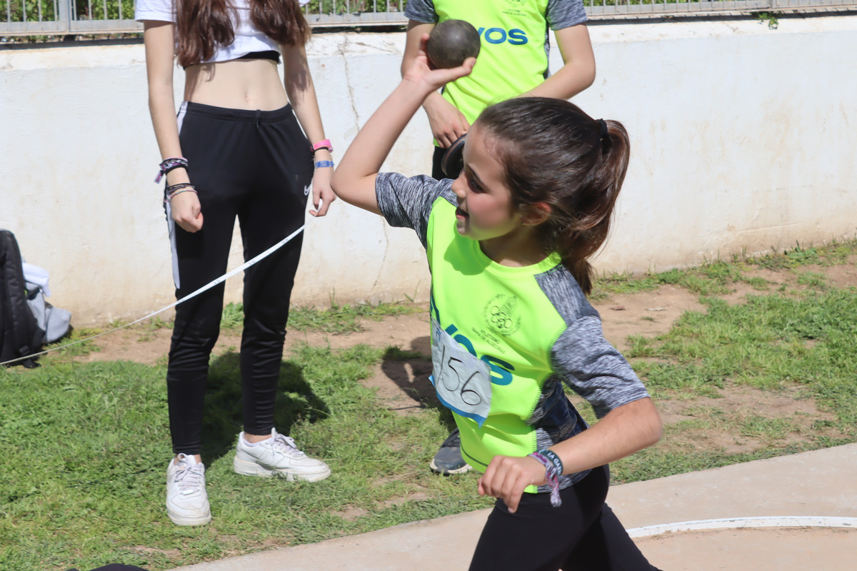 IMG-4531