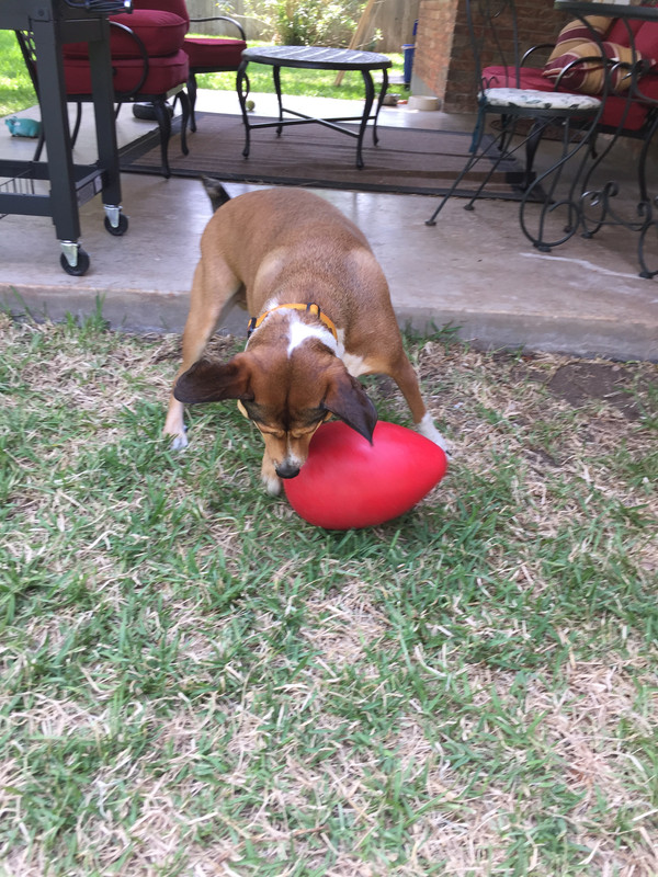 2016-07-03 161753-3087047