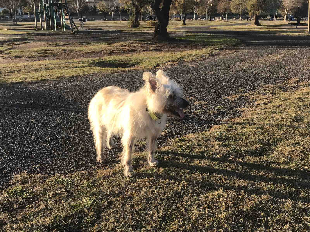 7200BADA-51F1-4AD3-A8C6-B3DCD9CF9AFF