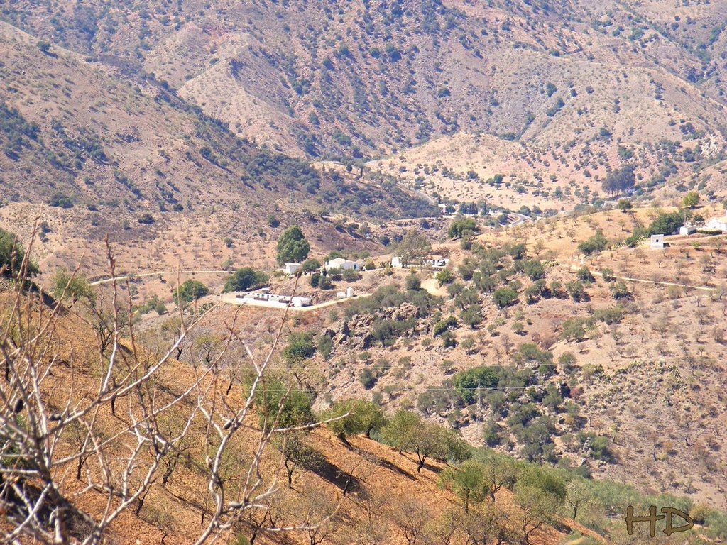 Donnas-ranch-HD.jpg