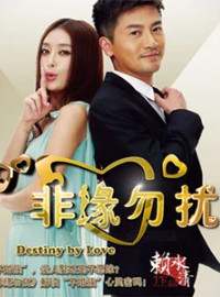 Không Yêu Xin Đừng Làm Phiền