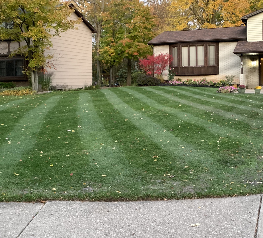 Reel Mow TTTF | Lawn Care Forum