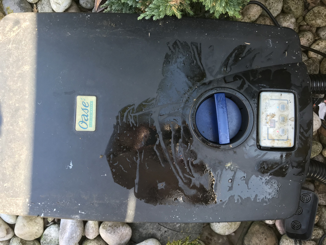 A22C539B-D87A-437F-A6EF-7F47E902B1D4