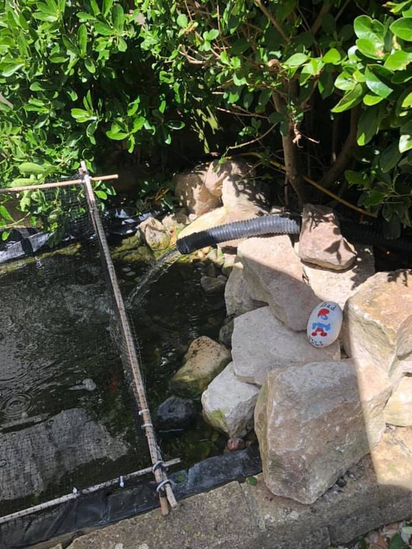 100502391_10158315593997457_6937962927257288704_n