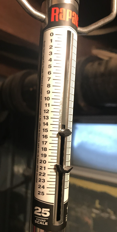 F1FEC4E1-643E-4929-9E8B-73C2DE35E1B8