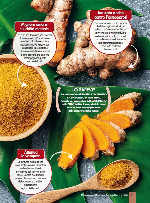 Alim Nat Gen Feb 2026 (4)