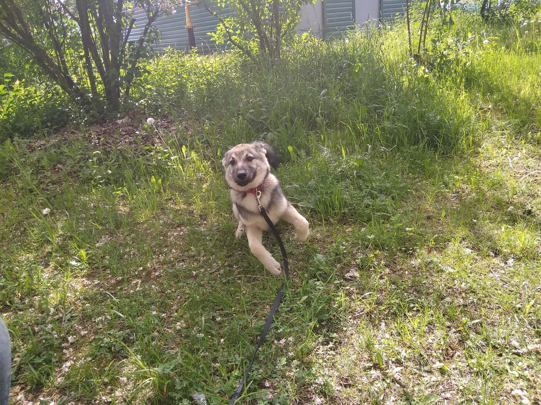 Дженни_05_18_5