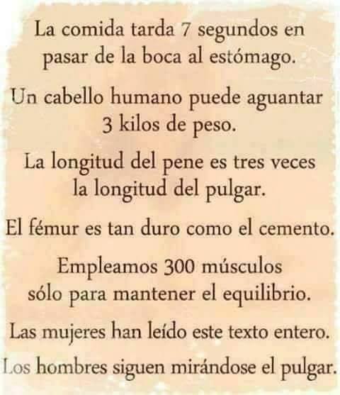 [Imagen: sabiasque.jpg]