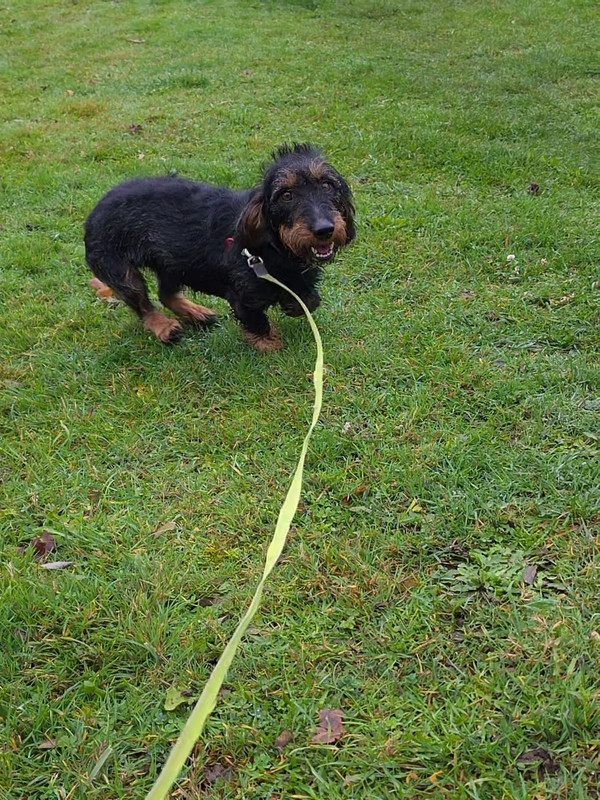 [Image: IMG-20251110-WA0007.jpg]