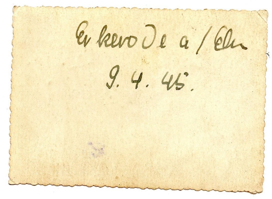 S5 Foto s. Jagdpanzer V Jagdpanther Pz. Lehr Rgt.130 im April 1945 Endkampf camo(2)