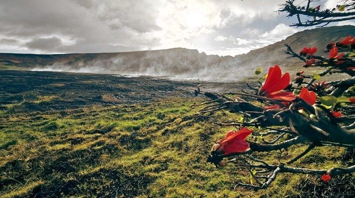 foto incendio isola di pasqua