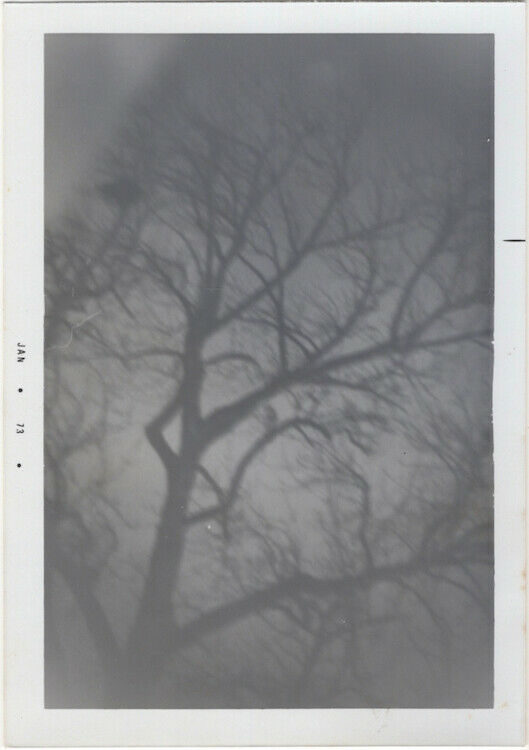 s-l1600-jpng