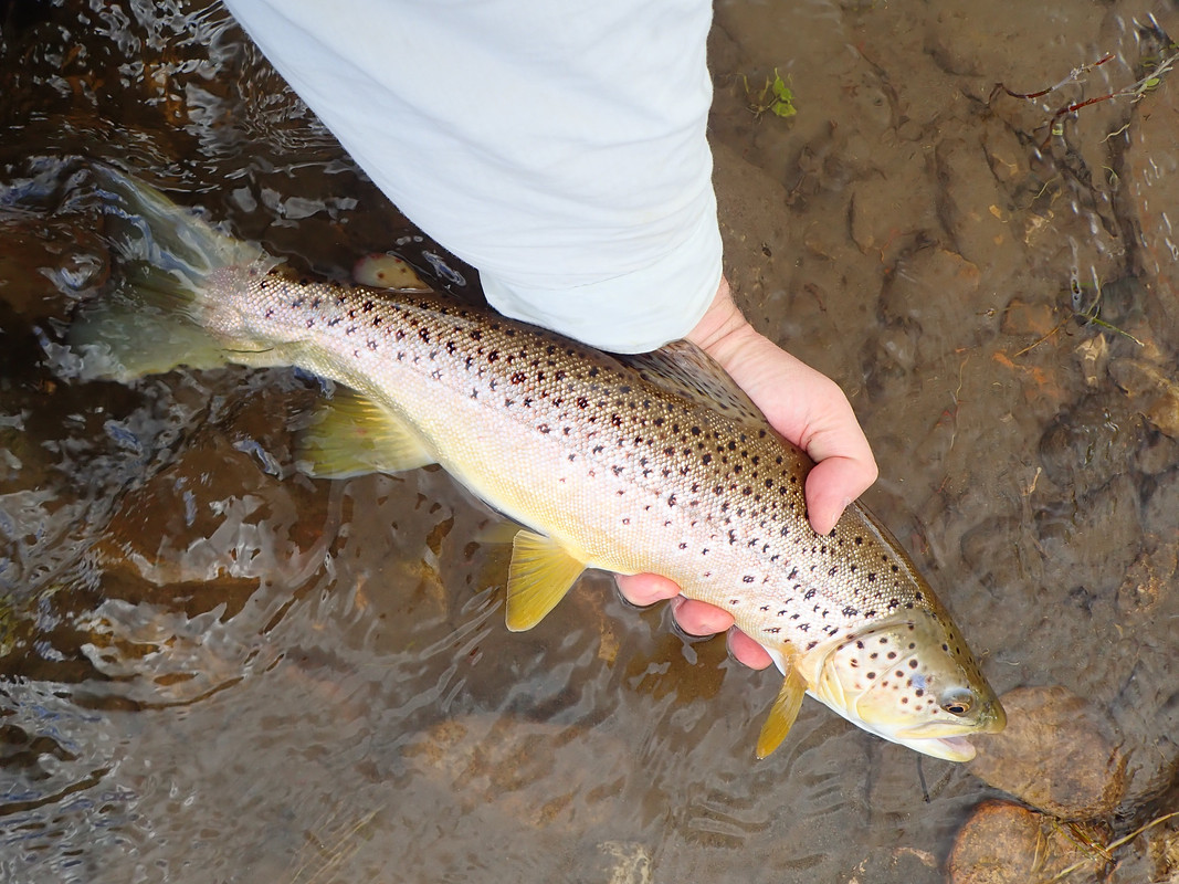 1B57B2DE-CE23-4DAE-8A1F-6E11AB934A61