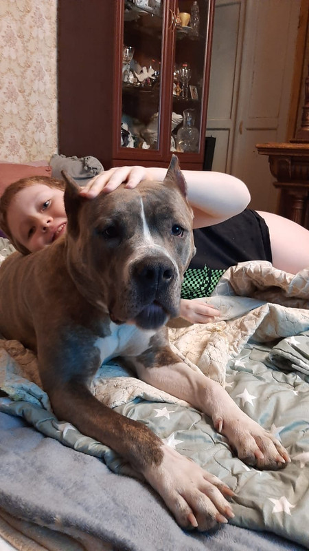 591A02AF-8C77-417A-A9D5-96E5F282C351