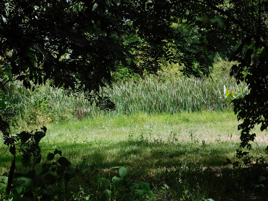 DSCN0423.jpg
