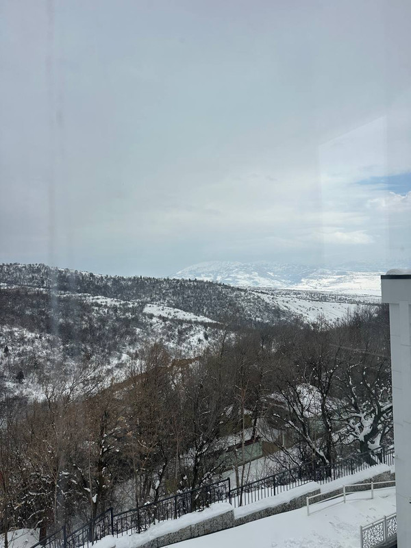 IMG-9075.jpg