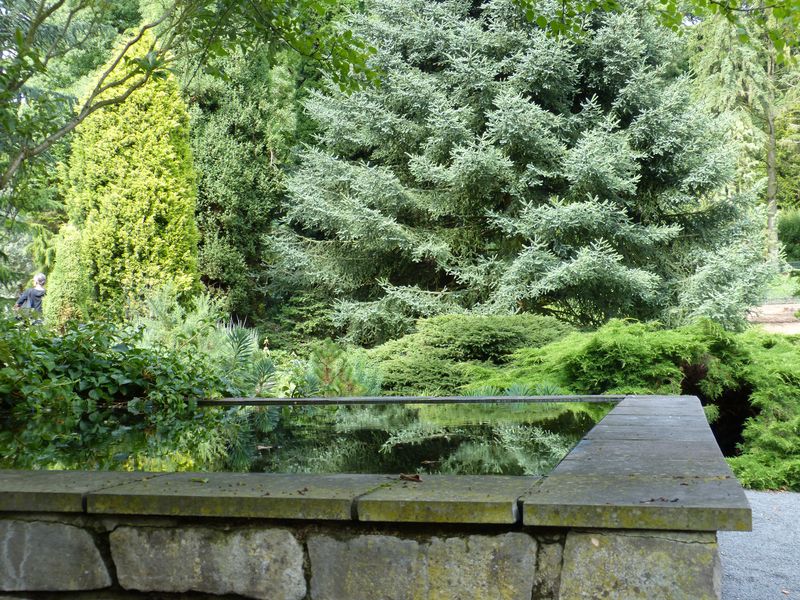 2014-07-13 Arboretum Härle 4