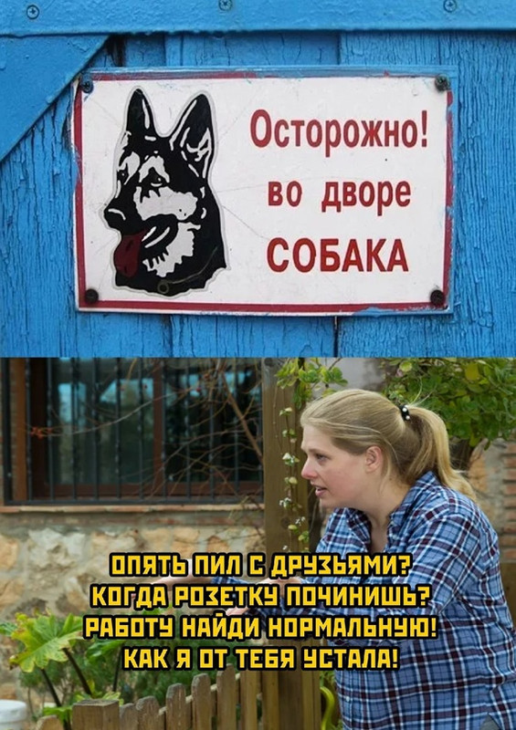 17181447.jpg