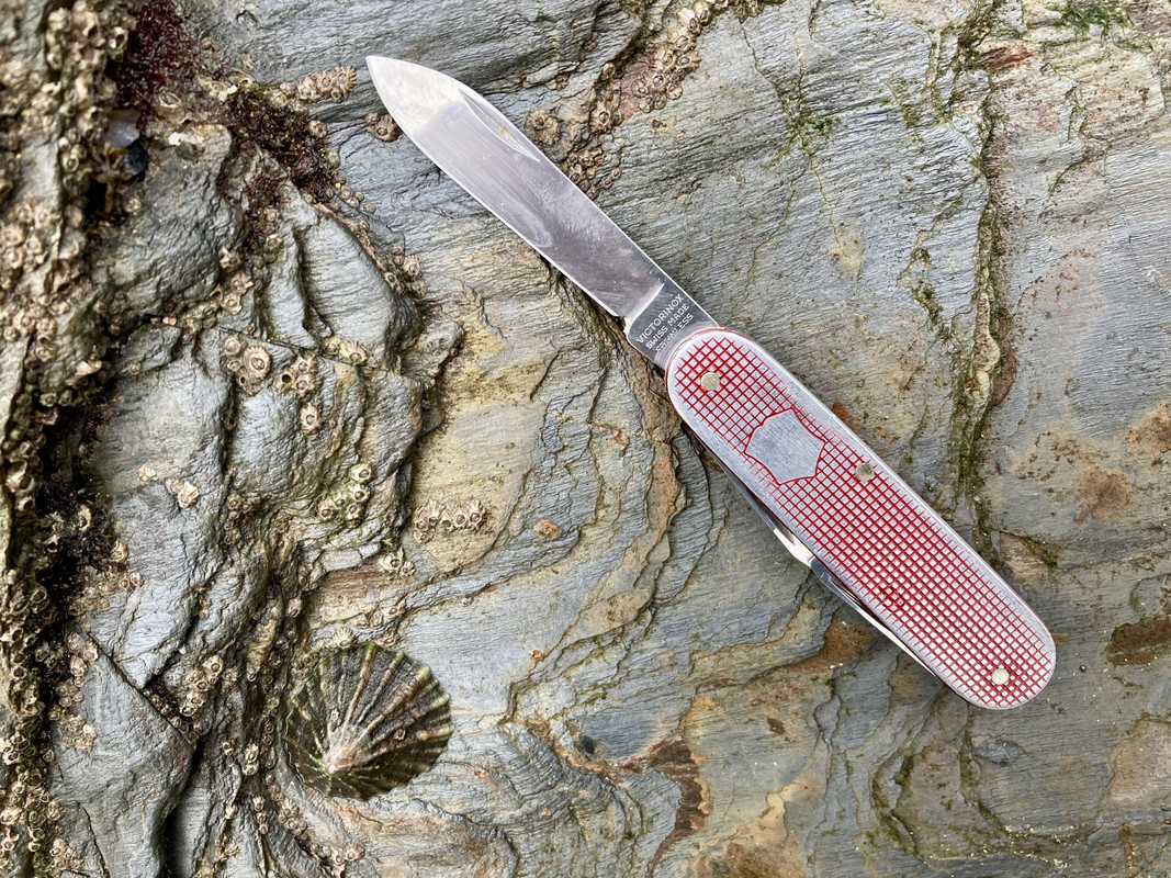 C62A1D5E-A595-4CD2-93F7-2DA6A04E9AD5