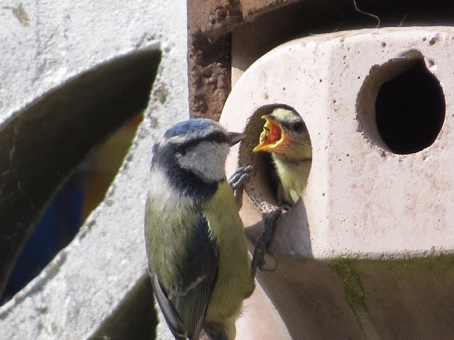 B1CDEA3D-93A6-43AD-9F57-143F77BFC473