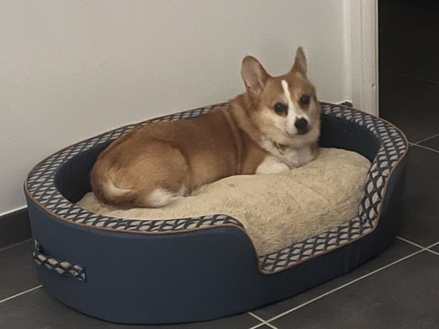 [Image: 3-CD803-AC-A1-FB-48-BF-A96-C-A33787394307.jpg]