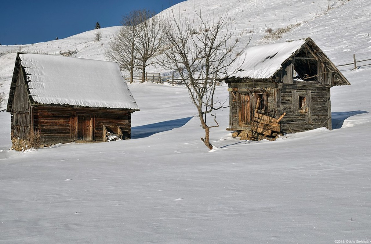 Is there Anybody out there (Pink Floyd)