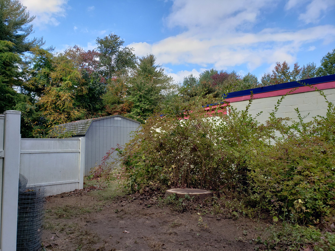 20201006_114728.jpg