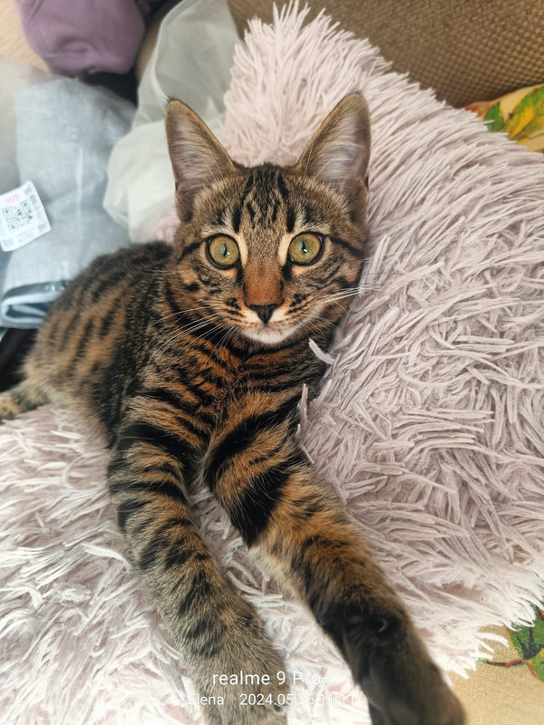 WhatsApp Image 2024-05-26 at 11.12.00 (1)