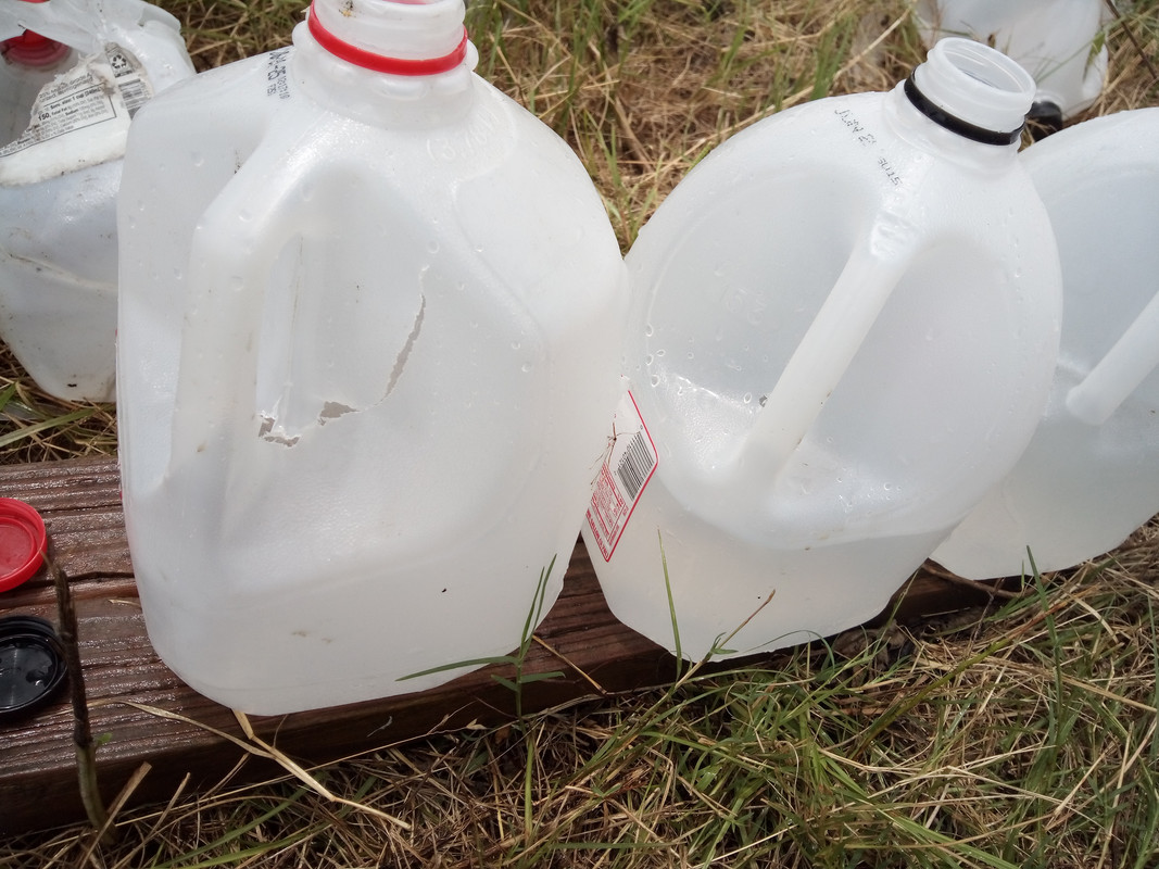 IMG_20250713_133918_142