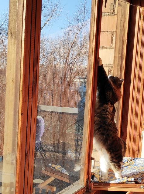IMG_20190329_082358