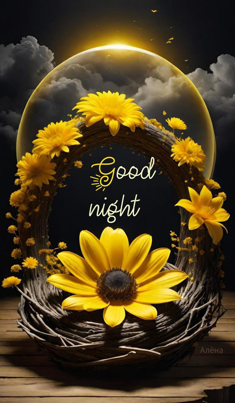 good-night