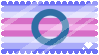 amab transmasc