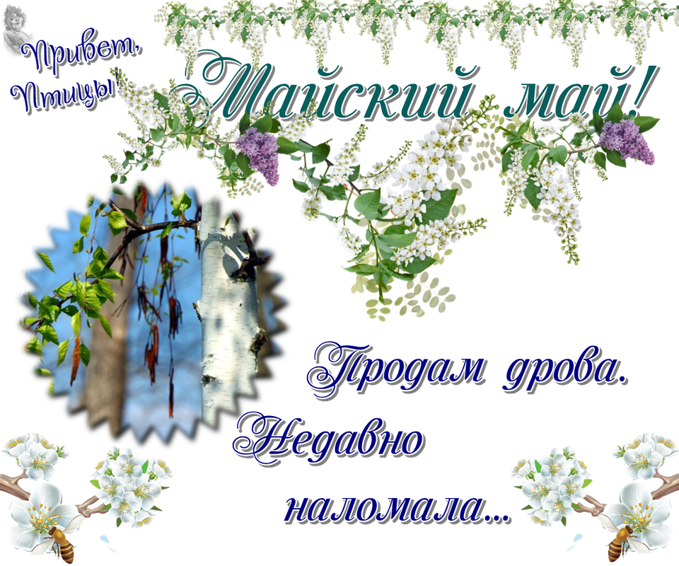 https://i.postimg.cc/j2BgYdsm/14-05.png