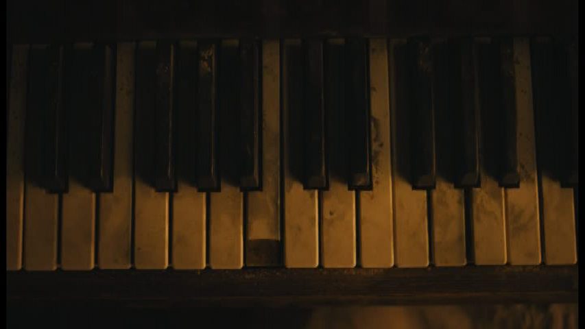 1. Cardigan (MV)