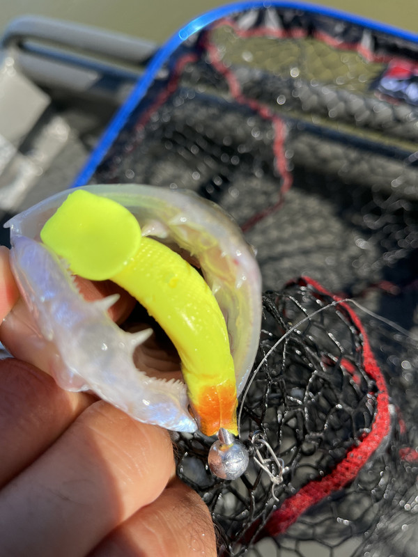 35FD9F20-A5AD-490F-8DB5-A67378B117AE