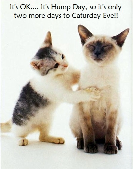 3b6d6d8652846f1dc9fcaf05100bb5c2e8e00fd8094f348e34918da44873feb1