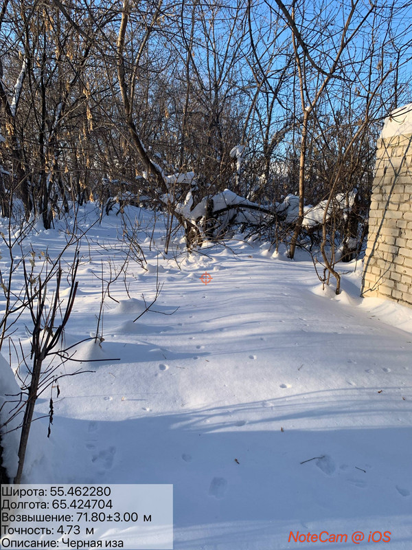 photo 15 2026 01 09 18 16 09