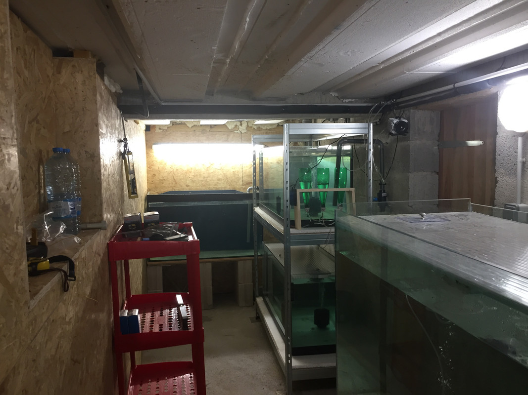 fishroom4 (2)