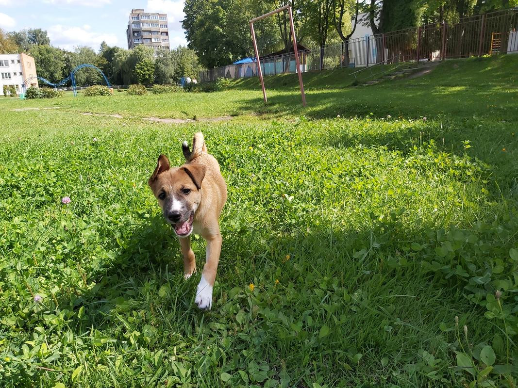 20190817_141950_013_saved